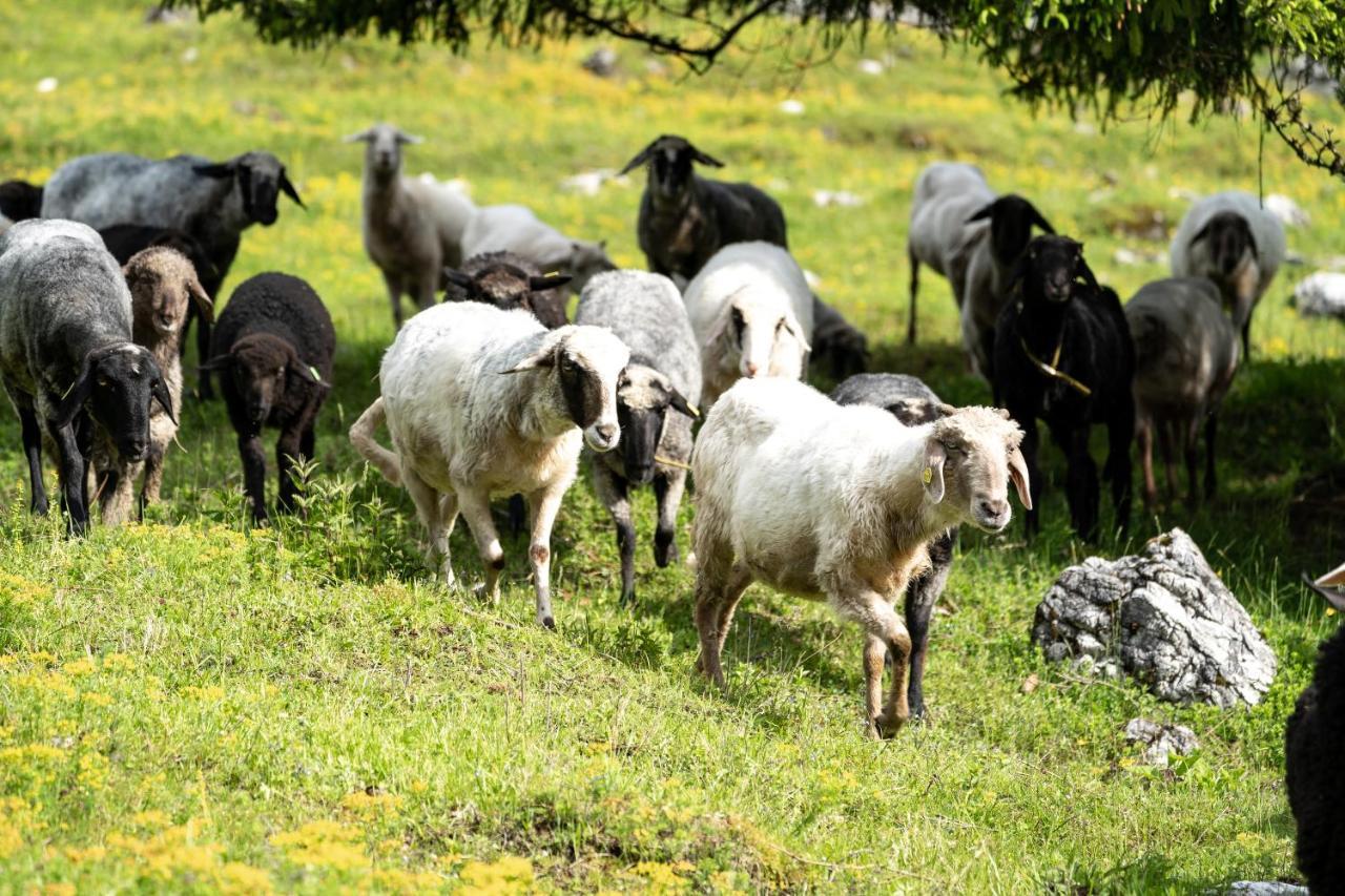 Wimbachlehen Lägenhet Ramsau bei Berchtesgaden Exteriör bild